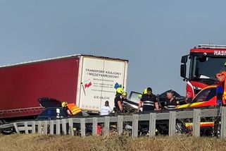 Auto se ženou a dítětem se u Velvar střetlo s kamionem. Řidička nepřežila - Novinky